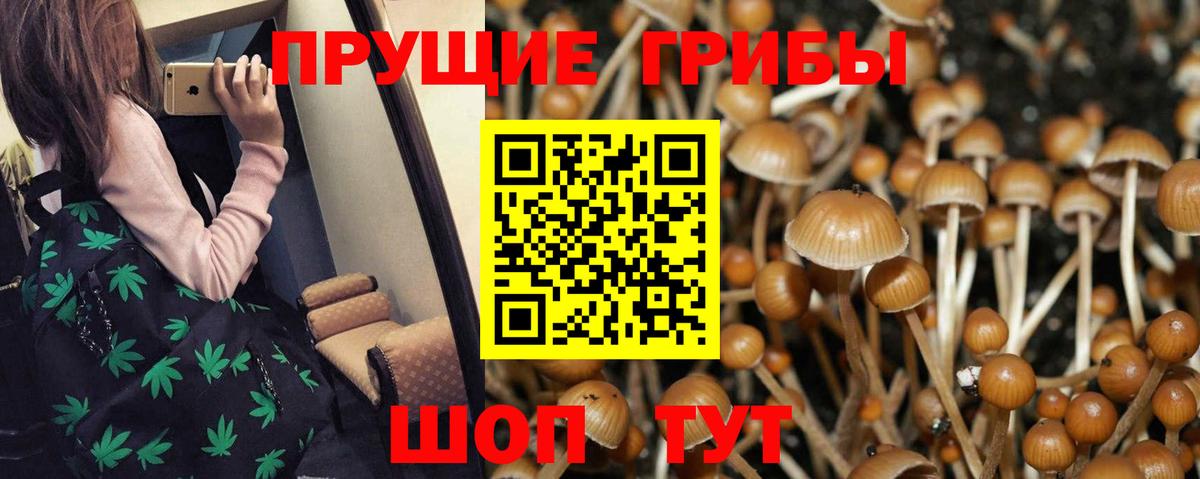 Псилоцибиновые грибы мицелий  Вход с VPN  Арсеньев 